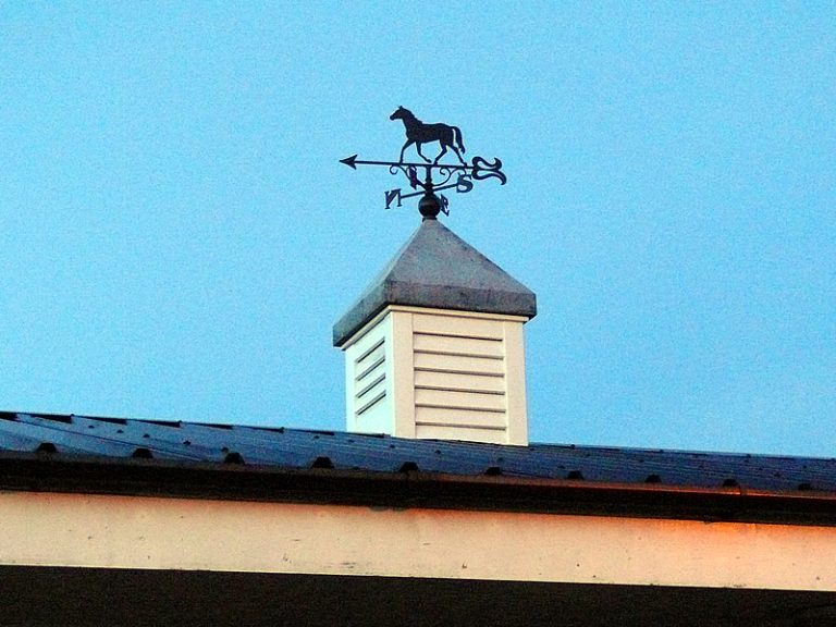 Custom Silhouette Weather Vanes